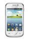 Захисна плівка (Hydrogel) для Samsung S6312 Galaxy Young